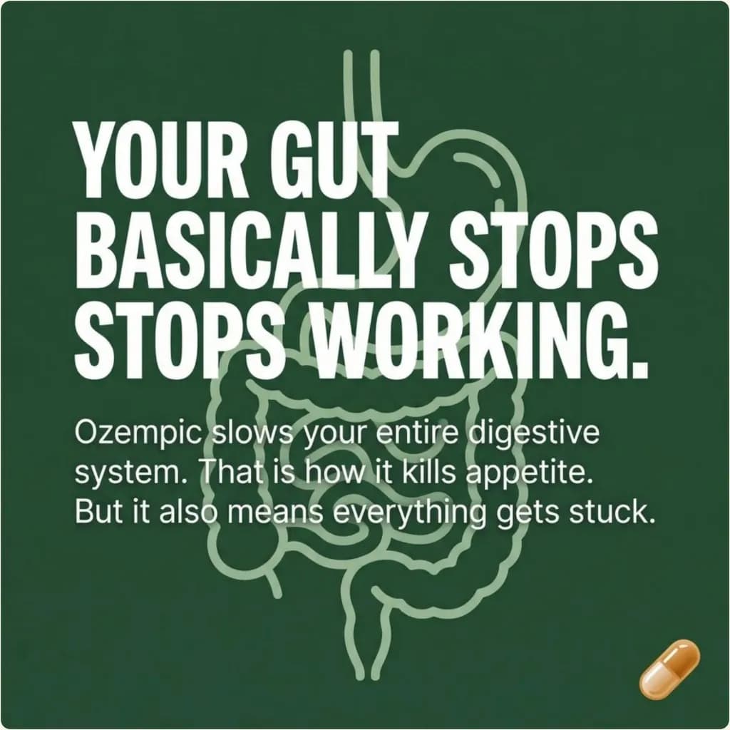 Graphic explaining that Ozempic slows the digestive system so everything gets stuck